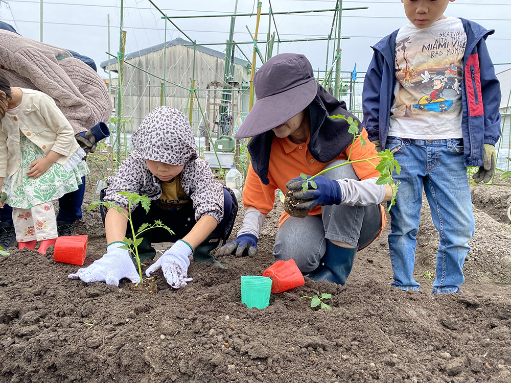 もふもふの木　とよなか